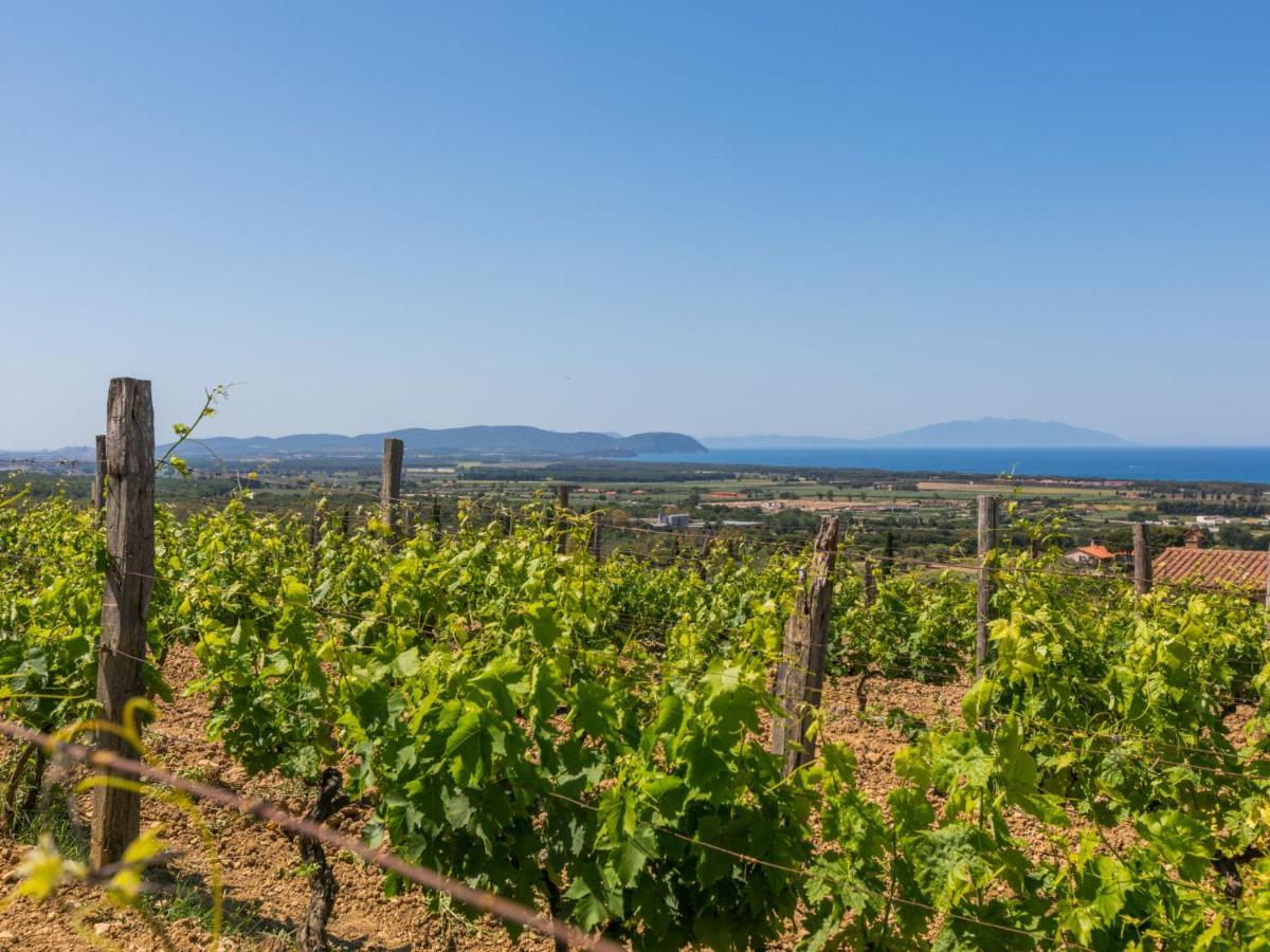 Holiday Home Il Corbezzolo-3 By Interhome San Vincenzo Zewnętrze zdjęcie